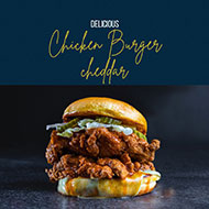 Chicken burger cheddar